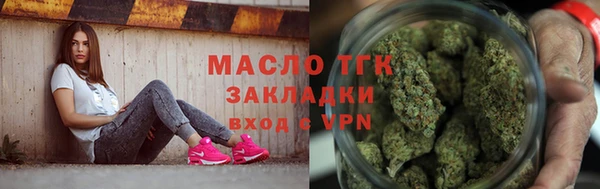 сатива Бородино