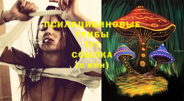 тгк Белокуриха